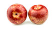 Pair of pluot apricot plums