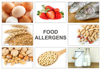 Wall Mural - Allergy food concept