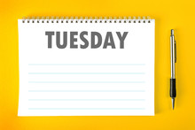 Tuesday Calendar Schedule Blank Page