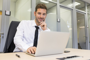 Wall Mural - Businessman working on computer in modern office