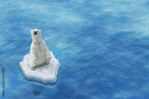 Fotomural Nuestros glaces Blanc / Fonte des
