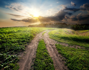 Wall Mural - road on a hill