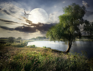 willow and moon