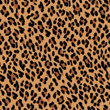 Seamless Leopard Pattern