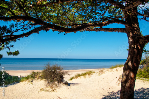 Fotografija  Sunny beach of the Baltic sea