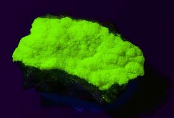 Uranium ore (meta-autunite) from Portugal under UV light. 4cm.