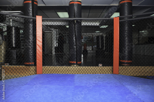 Fotografie, Tablou  octogonal ring