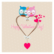 Happy Valentine's Day, Couple Of Sweet Pair Of Owls In Love