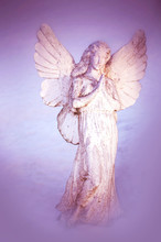 A White Angel Praying