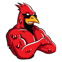 Cardinal Bird Mascot