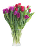 Fototapeta Tulipany - bouquet of  red and purple  tulip flowers
