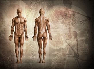 Wall Mural - human body