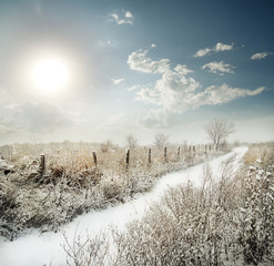 Wall Mural - snow-covered road past the fence in a field