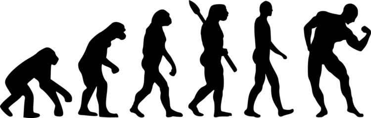 Poster - Evolution Muscle