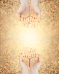 Hands human woman praying