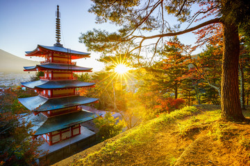 Fototapete - Chureito Pagoda with sun flare, Fujiyoshida, Japan
