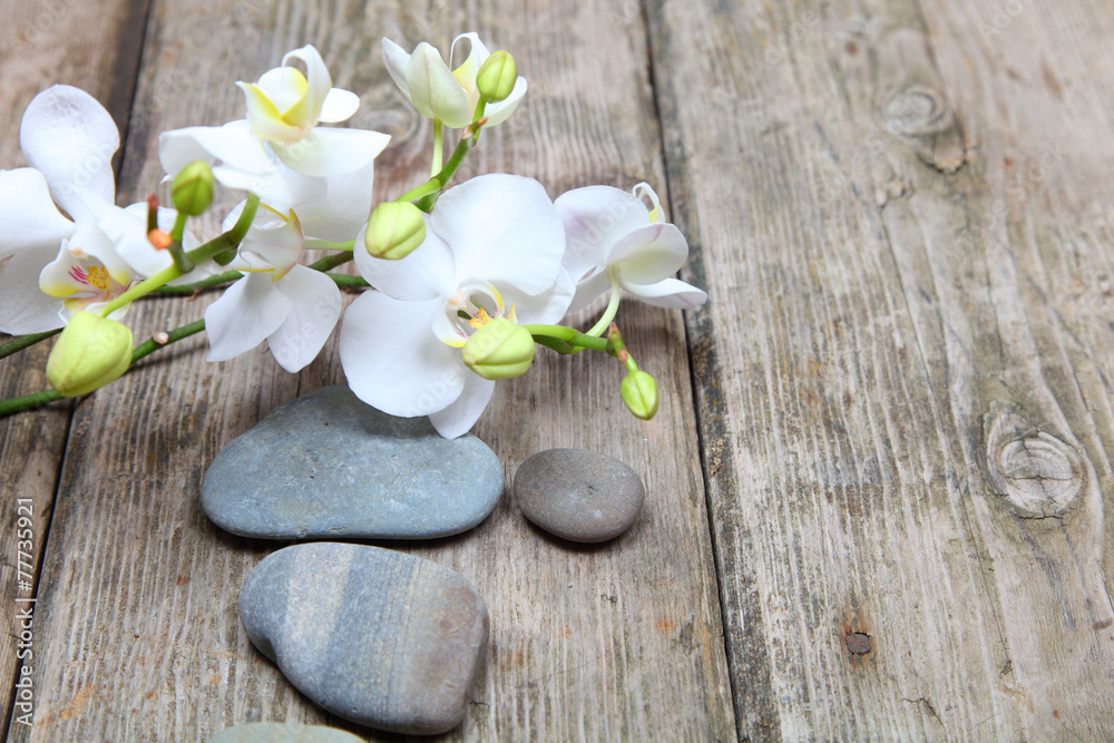 kamienie-zen-i-biala-orchidea-na-drewnianym-tle