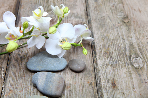 Fototapeta na wymiar Zen stones and orchid