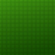 © Maryna Stryzhak - Green Check Pattern background