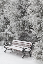 Snow-covered Bench In City Park