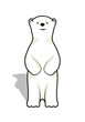 illustration of a bear cub of a polar bear