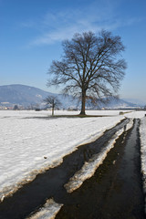 Wall Mural - neve in campagna