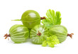 Ripe green gooseberry with leaf isolated