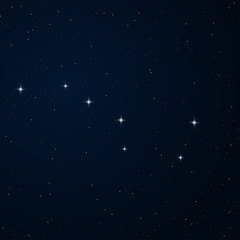 Wall Mural - ursa major