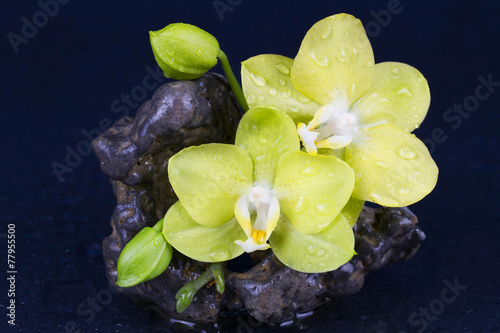Naklejka na kafelki Beautiful spa concept of yellow orchid with stones and drops
