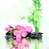 Fototapeta Sypialnia - spa concept with zen stones and flower