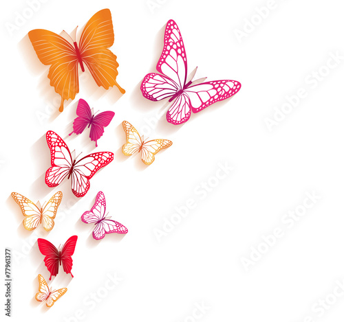 Fotografie, Obraz Realistic Colorful Butterflies Isolated for Spring