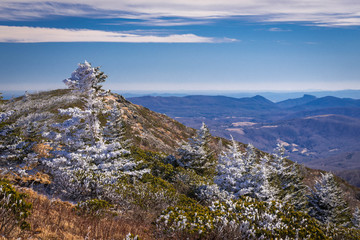 Wall Mural - Roan Mountain Winter Hike 7