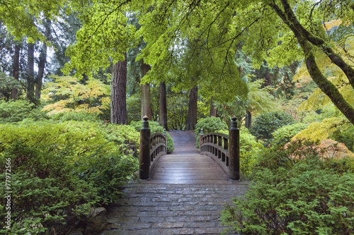 Fototapeta na wymiar Moon Bridge at Japanese Garden