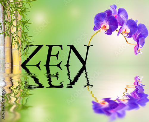 Composition Bambou Orchidee Zen Buy This Stock Photo And Explore Similar Images At Adobe Stock Adobe Stock