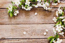 Flowers On Wooden Background