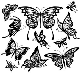 Wall Mural - A set of black and white butterflies