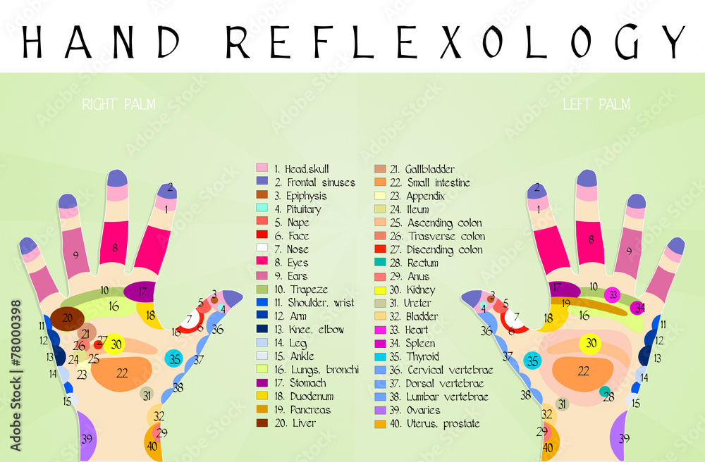 Reflexology hand chart Fotografia, Obraz na Posters.sk