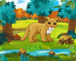 Cartoon scene - wild Asia animals - Caricature - cougar - illustration for the children