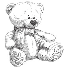 Hand Drawn Teddy Bear