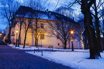 Canvas Print - Park by the medieval castle, Wieliczka, Poland.