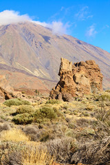 Wall Mural - el teide detail view