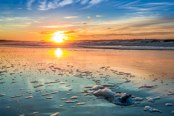 Wall Mural - sunset