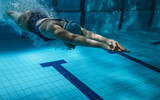 Fototapeta Tęcza - Swimmers at the swimming pool.Underwater photo