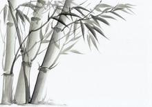 Watercolor Painting Of Bamboo