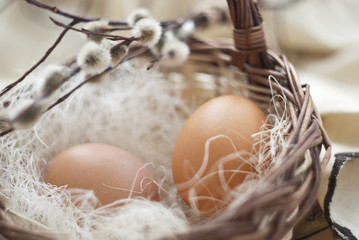 two eggs in a basket