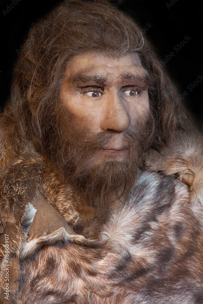 neanderthal Stock Photo | Adobe Stock