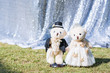 Bride and groom teddy bear in wedding
