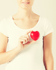 Wall Mural - woman hands with heart