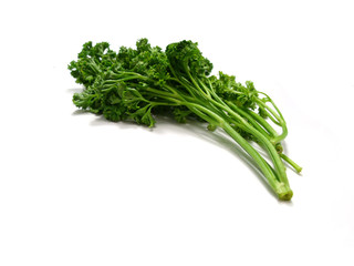 Canvas Print - bunch of fresh green curly parsley isolated on white background