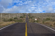 desert californian road